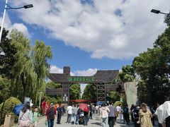 -溱湖国家湿地公园