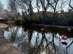 -桃花堤公园