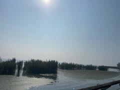 -苏州太湖国家湿地公园