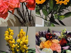 -龙大花卉苗木市场