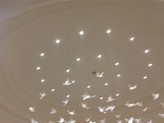 -北平小馆·烤鸭·家常菜(磨房北里店)