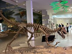 -自贡恐龙博物馆