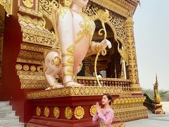 -西双版纳勐泐文化旅游区