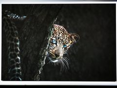 -罗红摄影艺术馆