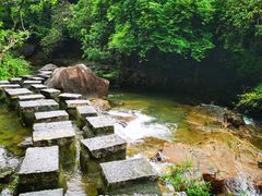 -广州白江湖森林公园