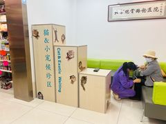-北京观赏动物医院·24小时大型综合·猫专科·异宠专科