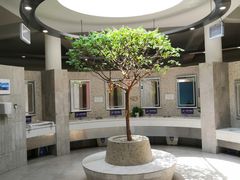 卫生间-自贡恐龙博物馆