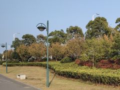 -滨江生态公园