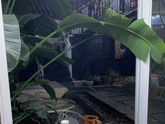 -阿鹏故事云南野生菌火锅(人民路店)