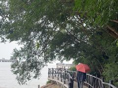 -平湖九龙山旅游度假区