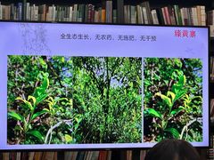 -云南省图书馆