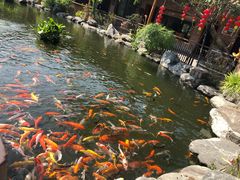 -大门水乡·顺德菜