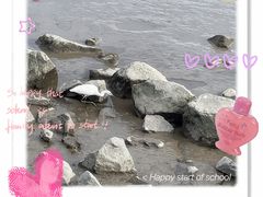 -深圳湾公园(南山区)