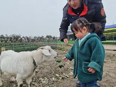 -小鱼草莓采摘园农家乐·小鱼餐厅
