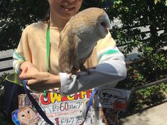 -秋叶原电器街