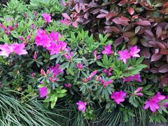 -杭州半山国家森林公园