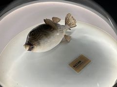 -陕西自然博物馆