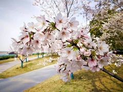 -幕燕滨江·长江观音景区