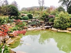 -铁山坪森林公园