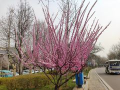 -石家庄市动物园