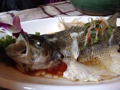 三色堇-三色堇(小通巷店)