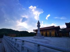 -三水森林公园