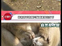 -昆明动物园
