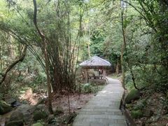 -火炉山森林公园