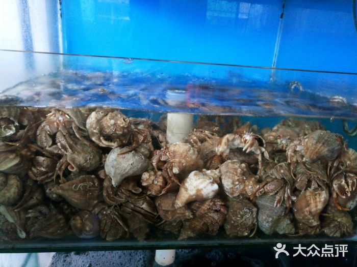 汇泉王朝大饭店-旋转餐厅(南海路店)图片
