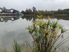 -白鹭湾湿地公园