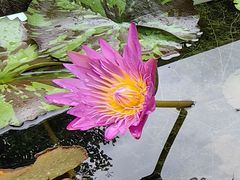 -钱王祠