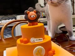 -CAKE BOSS 蛋糕老板(西单君太百货店)