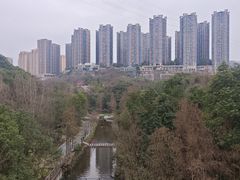 -重庆彩云湖湿地公园