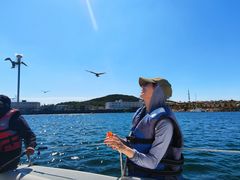 -拓恩帆船俱乐部