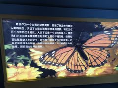 -上海昆虫博物馆