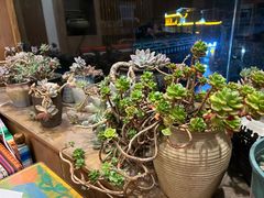 -四姑娘山阿巴郎·藏式花园餐厅