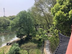 -堤角公园