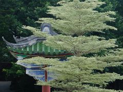 -东山风动石景区