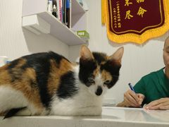 -守诺宠物医院·眼科· 特色牙科·异宠专科(虹口店)