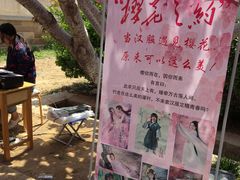 -莱阳濯村樱花园