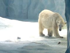 -广东省拱北口岸中国旅行社(华宾营业部)