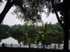-重庆彩云湖湿地公园