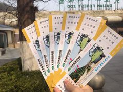 游乐设施-大连森林动物园