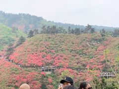 -木兰云雾山