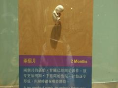 -香港科学馆