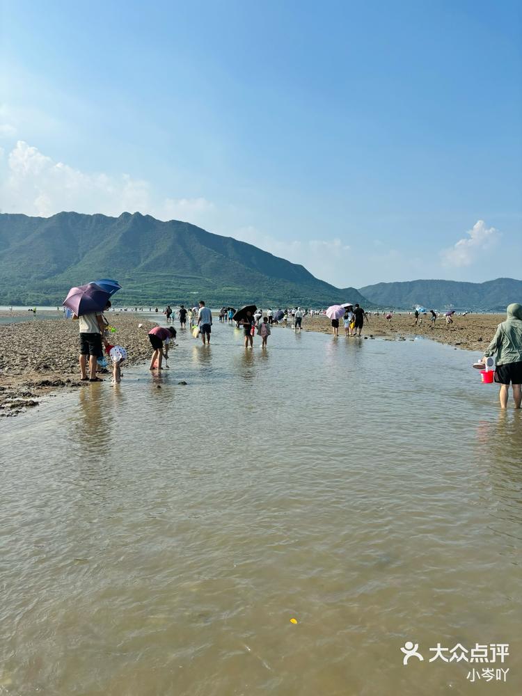 深圳周末去哪儿当然是去坝光沙滩赶海啦