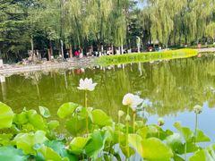 -西安市长乐公园