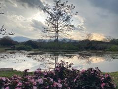 -中国科学院西双版纳热带植物园