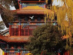 -宝通禅寺