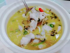 -蜀腾川·火锅鱼.烤鱼(新世界城店)